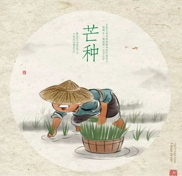 芒種時(shí)節(jié)，習(xí)俗不“盲”-普樂斯等離子清洗機(jī)