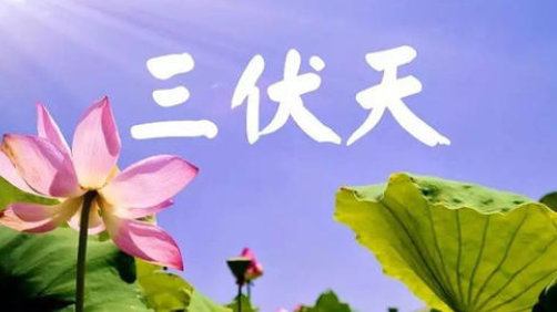 入伏，或開啟蒸煮模式-普樂斯等離子清洗機