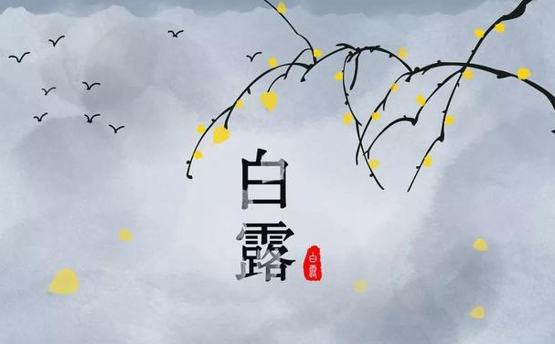 今迎白露，盛夏退場-普樂斯等離子清洗機