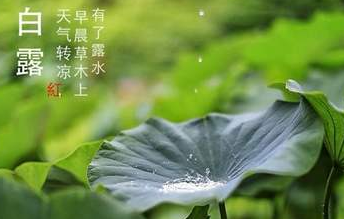 今迎白露，盛夏退場-普樂斯等離子清洗機